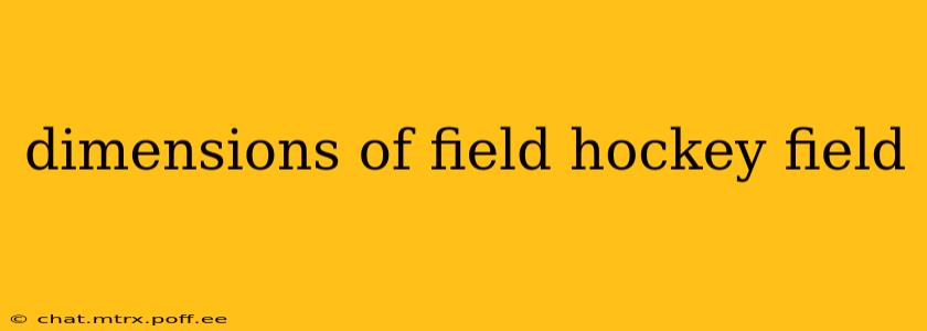 dimensions of field hockey field