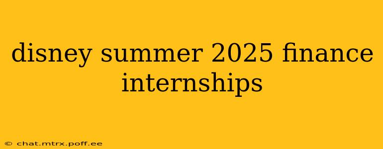 disney summer 2025 finance internships