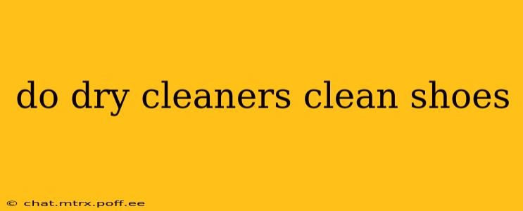 do dry cleaners clean shoes