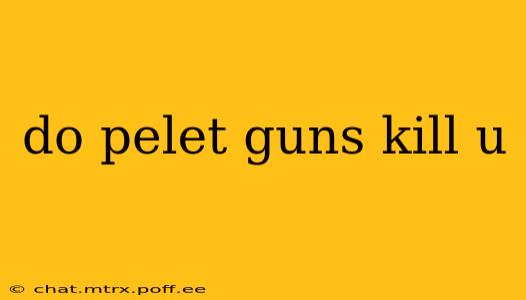 do pelet guns kill u