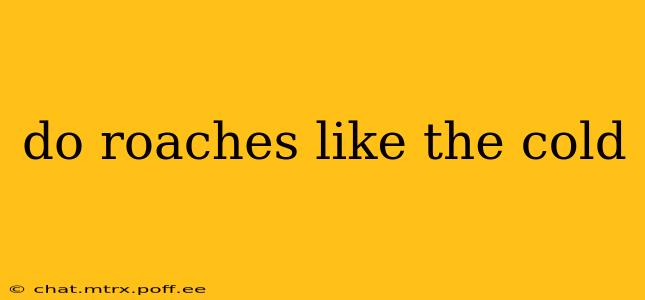 do roaches like the cold