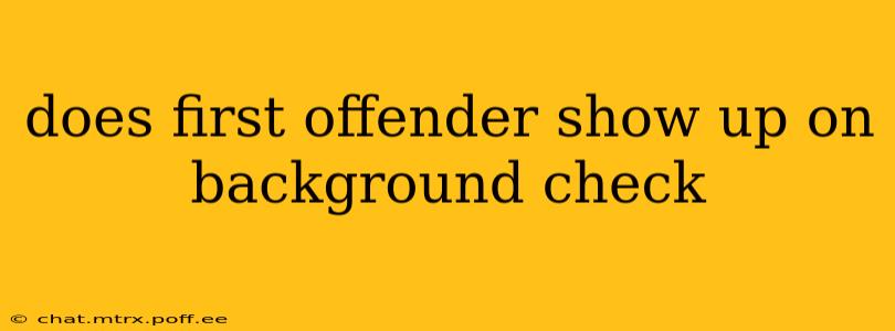 does first offender show up on background check