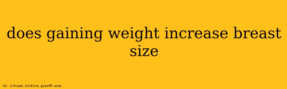 does gaining weight increase breast size