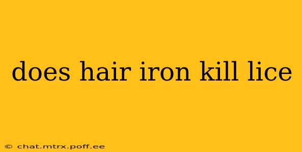 does hair iron kill lice