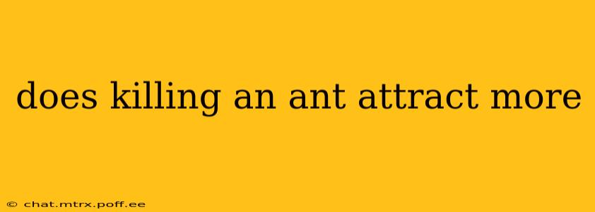 does killing an ant attract more