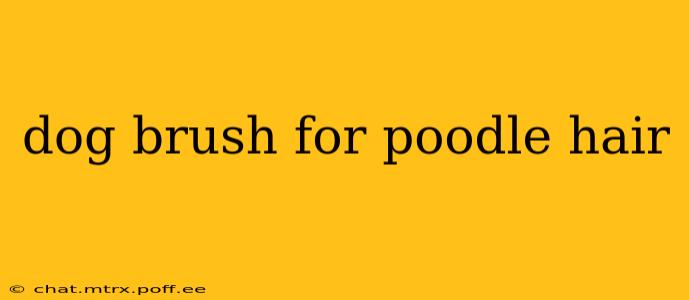 dog brush for poodle hair