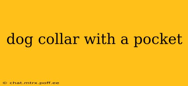 dog collar with a pocket