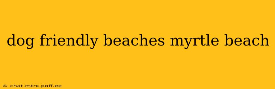 dog friendly beaches myrtle beach