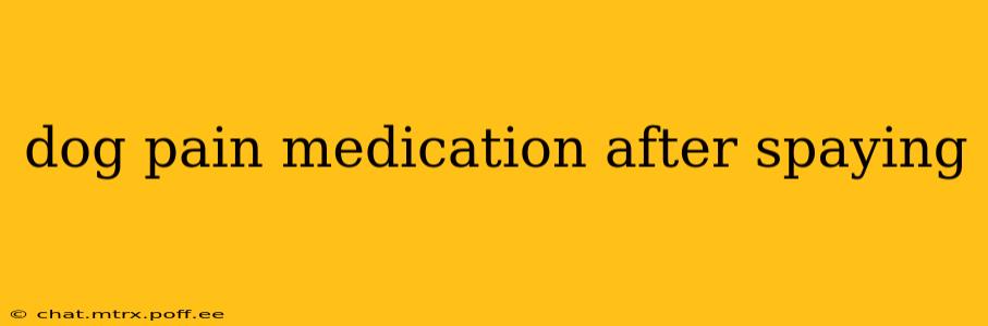 dog pain medication after spaying