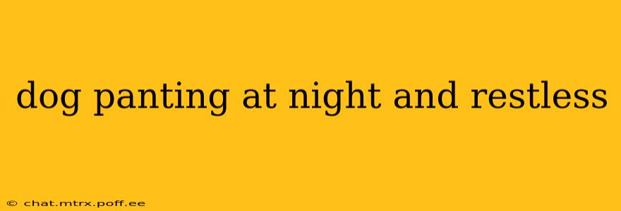 dog panting at night and restless