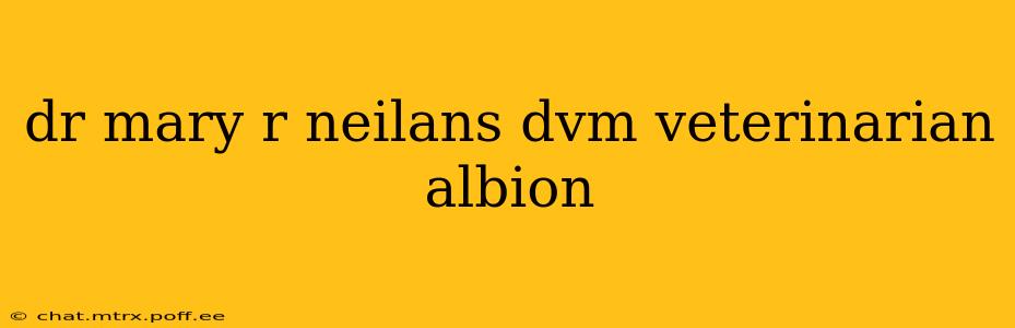 dr mary r neilans dvm veterinarian albion