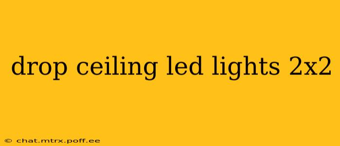 drop ceiling led lights 2x2
