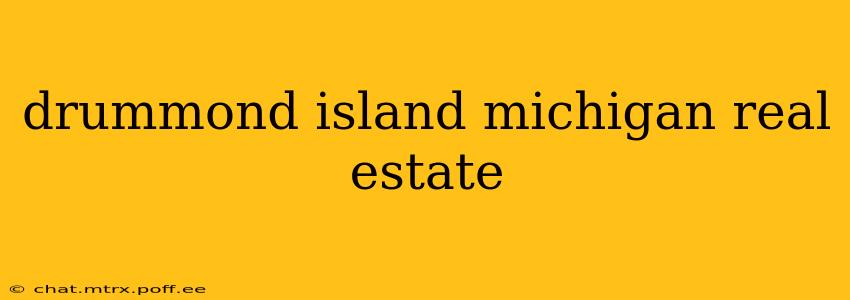 drummond island michigan real estate