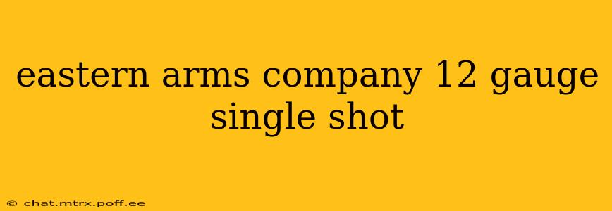 eastern arms company 12 gauge single shot