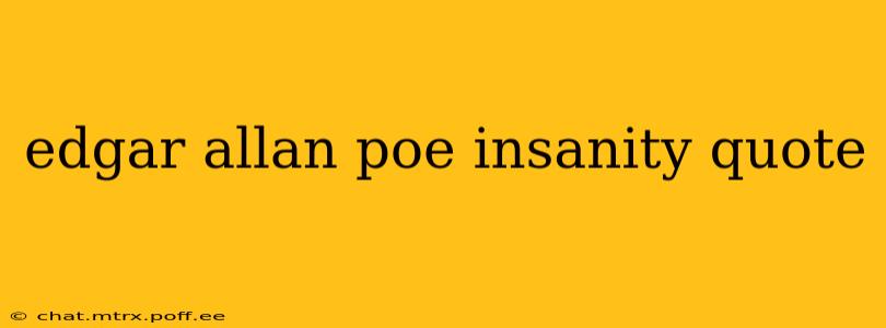 edgar allan poe insanity quote