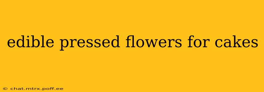 edible pressed flowers for cakes