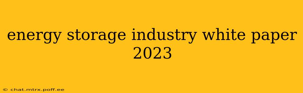 energy storage industry white paper 2023