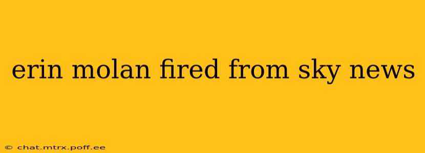 erin molan fired from sky news