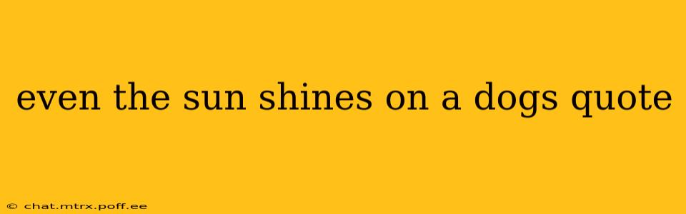 even the sun shines on a dogs quote