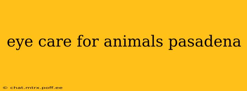 eye care for animals pasadena