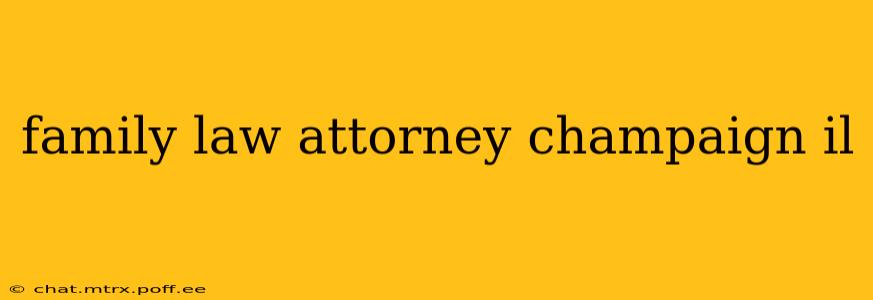 family law attorney champaign il