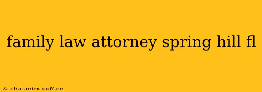 family law attorney spring hill fl