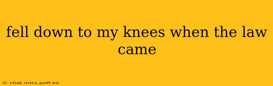 fell down to my knees when the law came