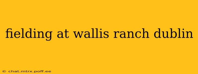 fielding at wallis ranch dublin
