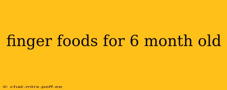 finger foods for 6 month old