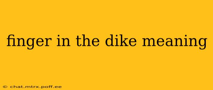 finger in the dike meaning