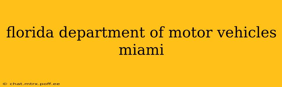 florida department of motor vehicles miami