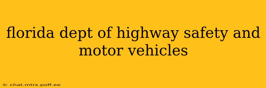 florida dept of highway safety and motor vehicles