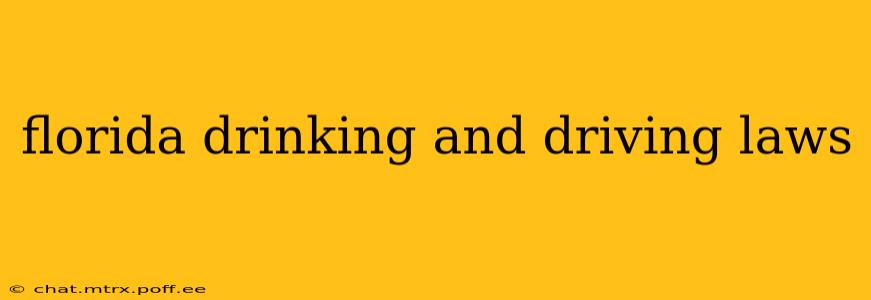 florida drinking and driving laws