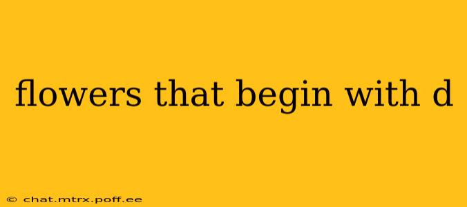flowers that begin with d