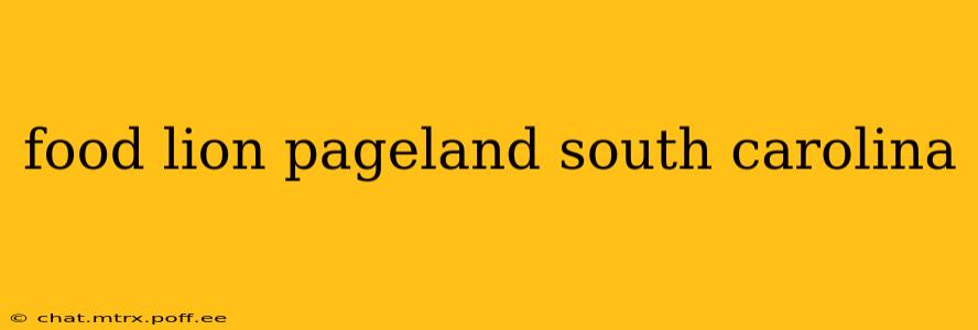 food lion pageland south carolina