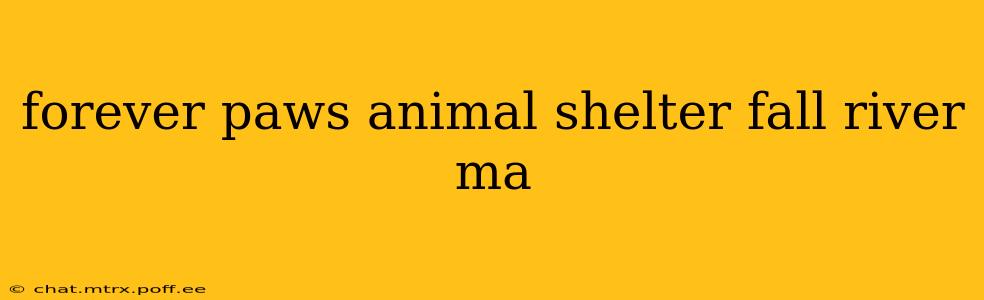 forever paws animal shelter fall river ma