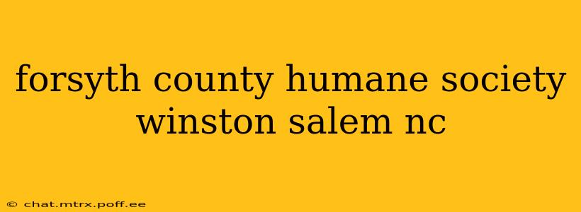 forsyth county humane society winston salem nc