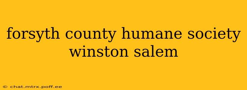 forsyth county humane society winston salem