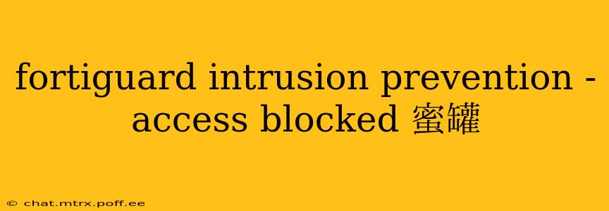 fortiguard intrusion prevention - access blocked 蜜罐