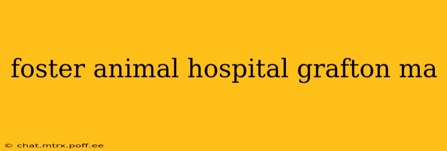 foster animal hospital grafton ma