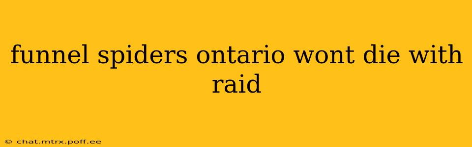 funnel spiders ontario wont die with raid