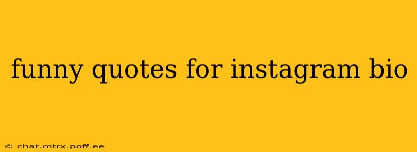 funny quotes for instagram bio