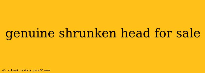 genuine shrunken head for sale