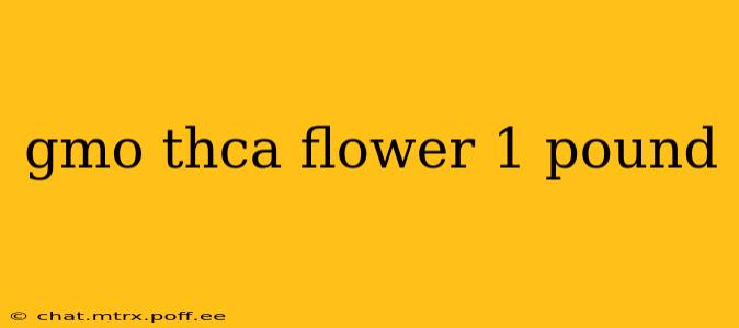 gmo thca flower 1 pound