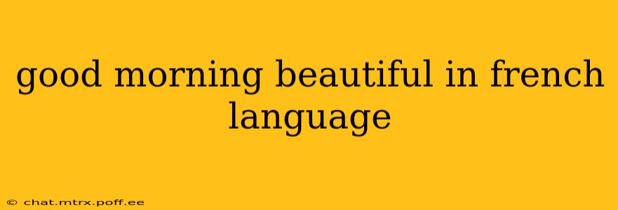 good morning beautiful in french language