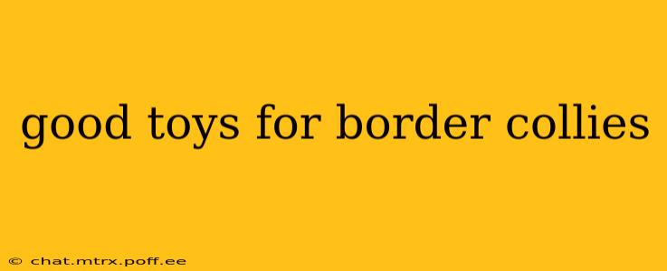 good toys for border collies