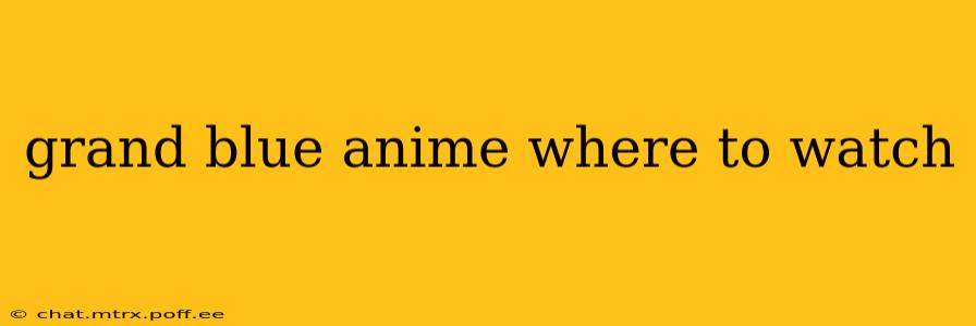 grand blue anime where to watch