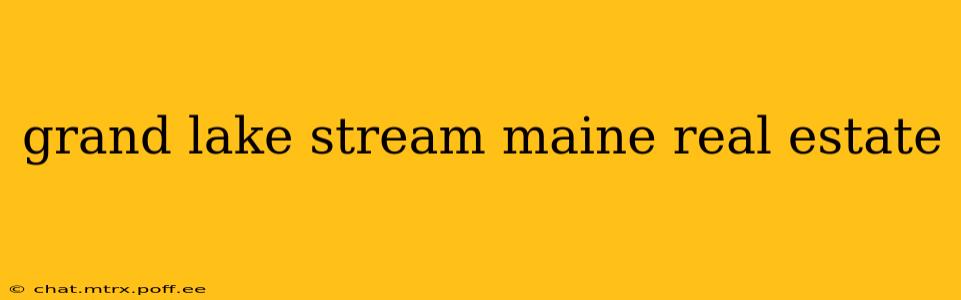 grand lake stream maine real estate