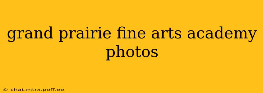grand prairie fine arts academy photos