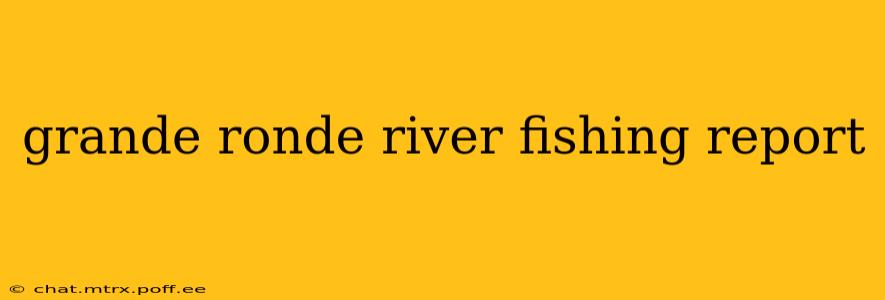 grande ronde river fishing report